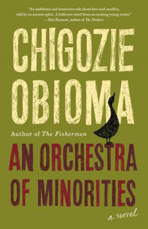 Cover of the book An Orchestra of Minorities by David Perlmutter, 