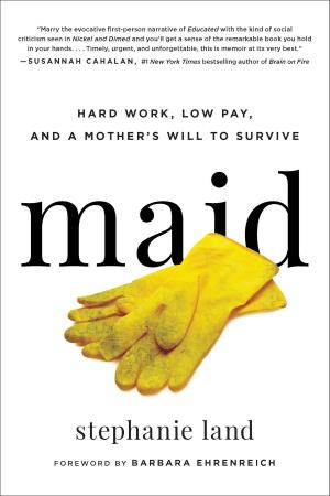 Cover of the book Maid by Barbara Bisantz Raymond