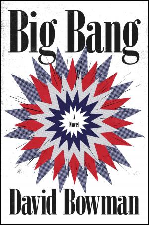 Cover of the book Big Bang by Pearl Darling
