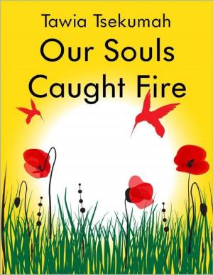 Cover of the book Our Souls Caught Fire by Lois Helmers, Gerald Harding Gunn
