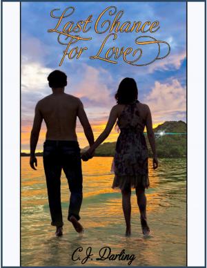 Cover of the book Last Chance for Love by Alise Linder