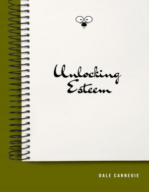 Cover of the book Unlocking Esteem by Oluwagbemiga Olowosoyo