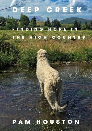 Book cover of Deep Creek: Finding Hope in the High Country