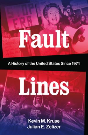 Cover of the book Fault Lines: A History of the United States Since 1974 by Jan Harold Brunvand