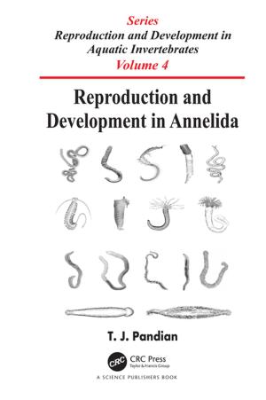 Cover of the book Reproduction and Development in Annelida by Andrew V. Sills