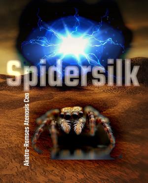 Book cover of Spidersilk