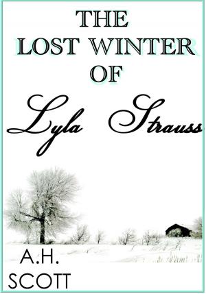 Book cover of The Lost Winter Of Lyla Strauss