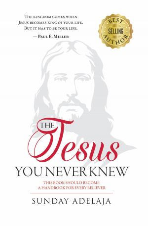 Cover of the book The Jesus You Never Knew by Donald Marshall