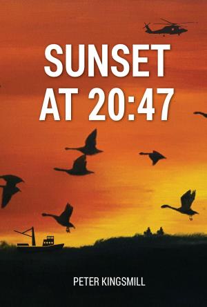Cover of the book Sunset at 20:47 by Daniel Viau