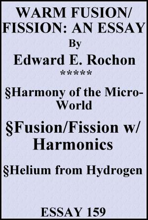Cover of the book Warm Fusion/Fission: An Essay by Edward E. Rochon