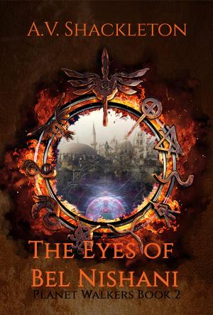 Cover of The Eyes of Bel Nishani