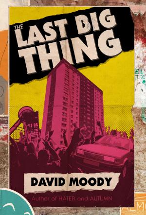 Book cover of The Last Big Thing