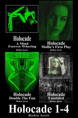 Book cover of Holocade 1-4