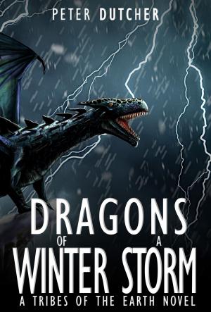 Cover of Dragons of a Winter Storm