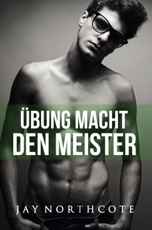 Cover of the book Übung macht den Meister by Piper Snow