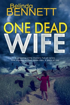 Book cover of One Dead Wife