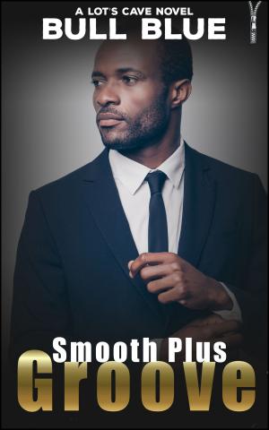 bigCover of the book Smooth Plus Groove by 