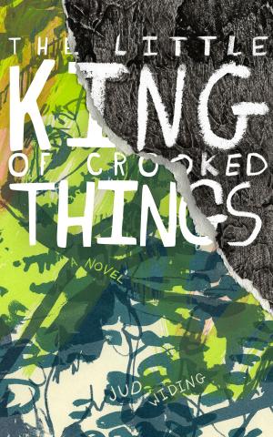 Cover of the book The Little King of Crooked Things by Kelvin Ortiz