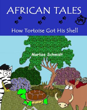 Book cover of African Tales: How Tortoise Got His Shell