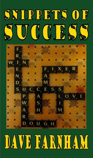 Cover of Snippets of Success