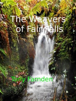 Book cover of The Weavers of Fair Falls