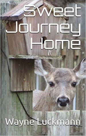 bigCover of the book Sweet Journey Home by 