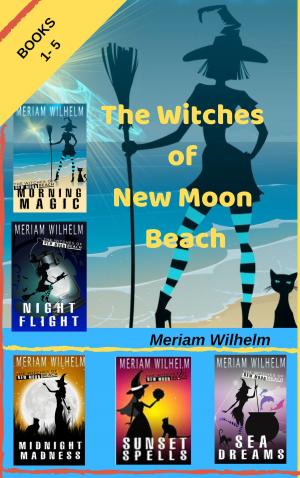 Cover of The Witches Of New Moon Beach Boxed Set