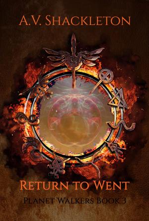 Cover of the book Return to Went by alex trostanetskiy