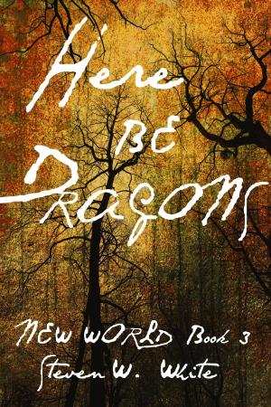 Cover of the book Here Be Dragons by Bettina Melher