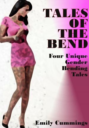 Book cover of Tales of the Bend: Four Unique Gender Bender Tales