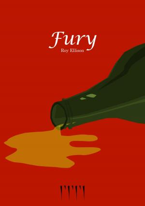 Cover of the book Fury by Carolyne Chand