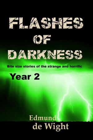 Book cover of Flashes of Darkness: Year 2