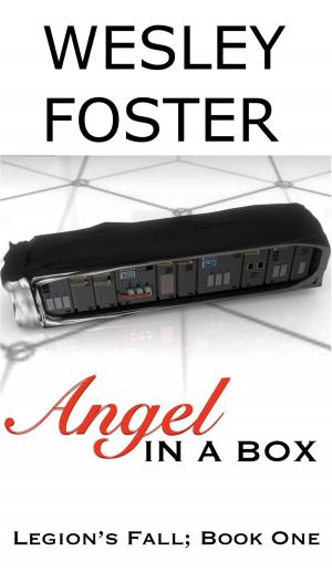 Cover of the book Angel in a Box by Steph Bennion