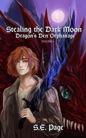 Cover of the book Stealing the Dark Moon: Dragon's Den Orphanage Volume I by E.M. Swift-Hook