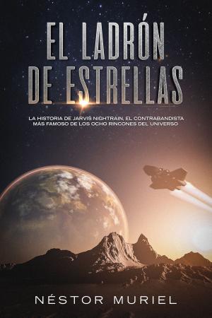 bigCover of the book El Ladrón de Estrellas by 