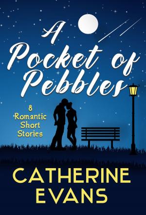 Book cover of A Pocket of Pebbles