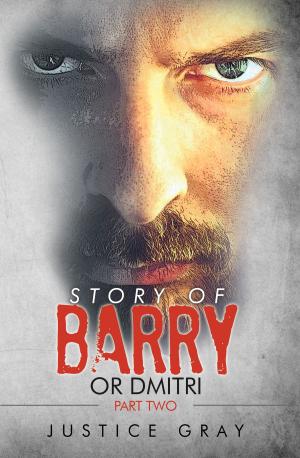 Cover of the book Story of Barry: or Dmitri Part Two by Martina Arnold, Uwe Wittenfeld