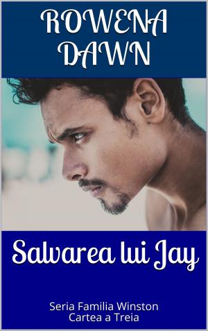Cover of the book Salvarea lui Jay by Robin Wyatt Dunn