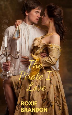 Cover of the book The Pirate I Love by Roxie Brandon
