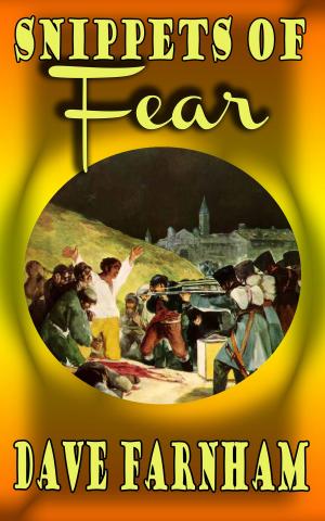 Cover of the book Snippets of Fear by Wendy E Slater