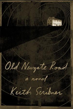 Cover of the book Old Newgate Road by Jason Green