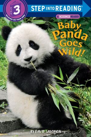 Cover of Baby Panda Goes Wild!