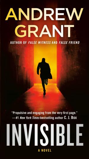 Cover of the book Invisible by Mary Balogh