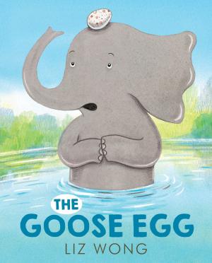 Cover of the book The Goose Egg by Paul Cook
