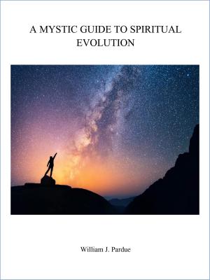 Cover of the book A Mystic Guide to Spiritual Evolution by Chantal Heide