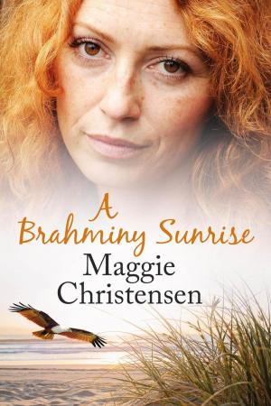 Cover of the book A Brahminy Sunrise - A Midlife Novella by C.E. Murphy