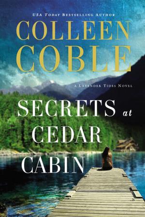 Book cover of Secrets at Cedar Cabin