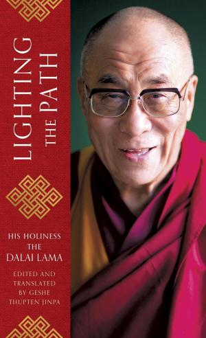 Cover of the book Lighting the Path by JA Low