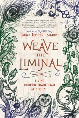Cover of the book Weave the Liminal by A'ndrea Reiter
