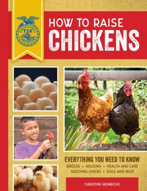 Cover of the book How to Raise Chickens by Don Gulbrandsen